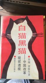 白猫黑猫——中国改革