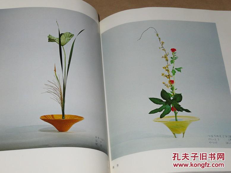 池坊花传书共5冊入门初级中级和上级外加师范科品好包邮现货 池坊 孔夫子旧书网