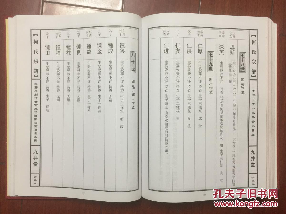 何氏宗谱一册全