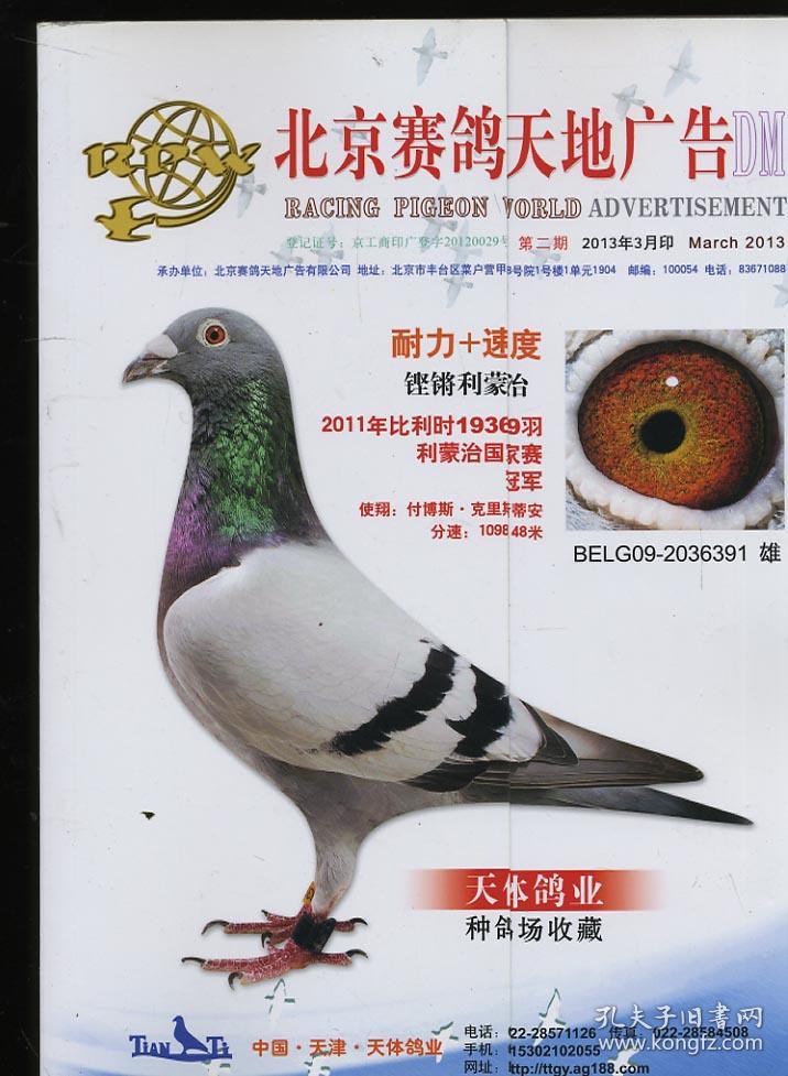 2013赛鸽天地 第二期