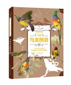 手绘鸟类图谱:一座呈现在纸上的鸟类博物馆