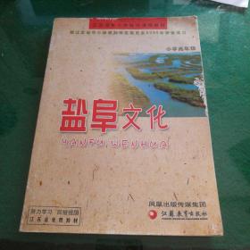 盐阜文化小学高年级凤凰出版传媒集团江苏教育出版社大32开129页