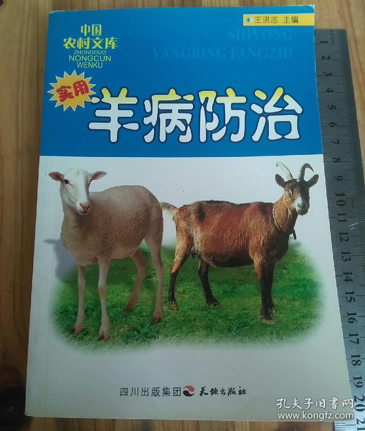 实用羊病防治