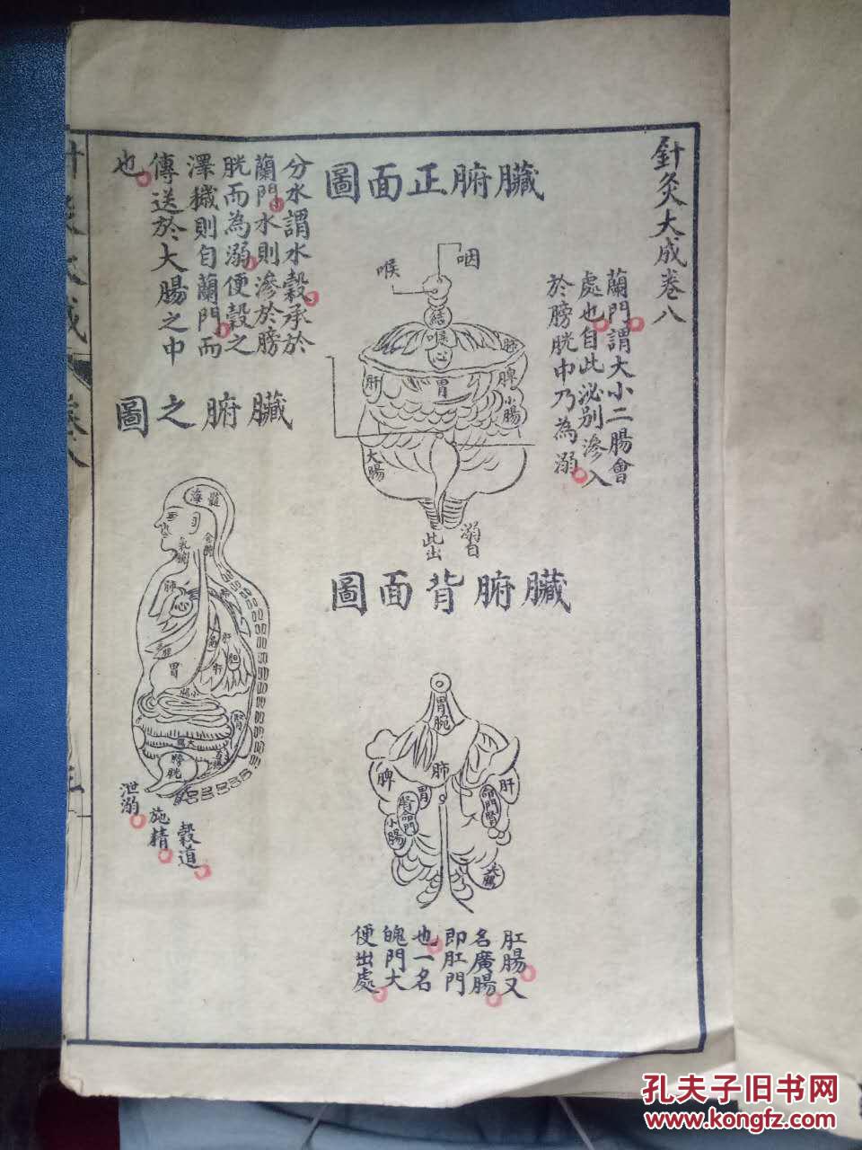 五彩绘图增补针灸大成卷八脏腑十二经穴起止歌手太阴肺经穴歌手阳明