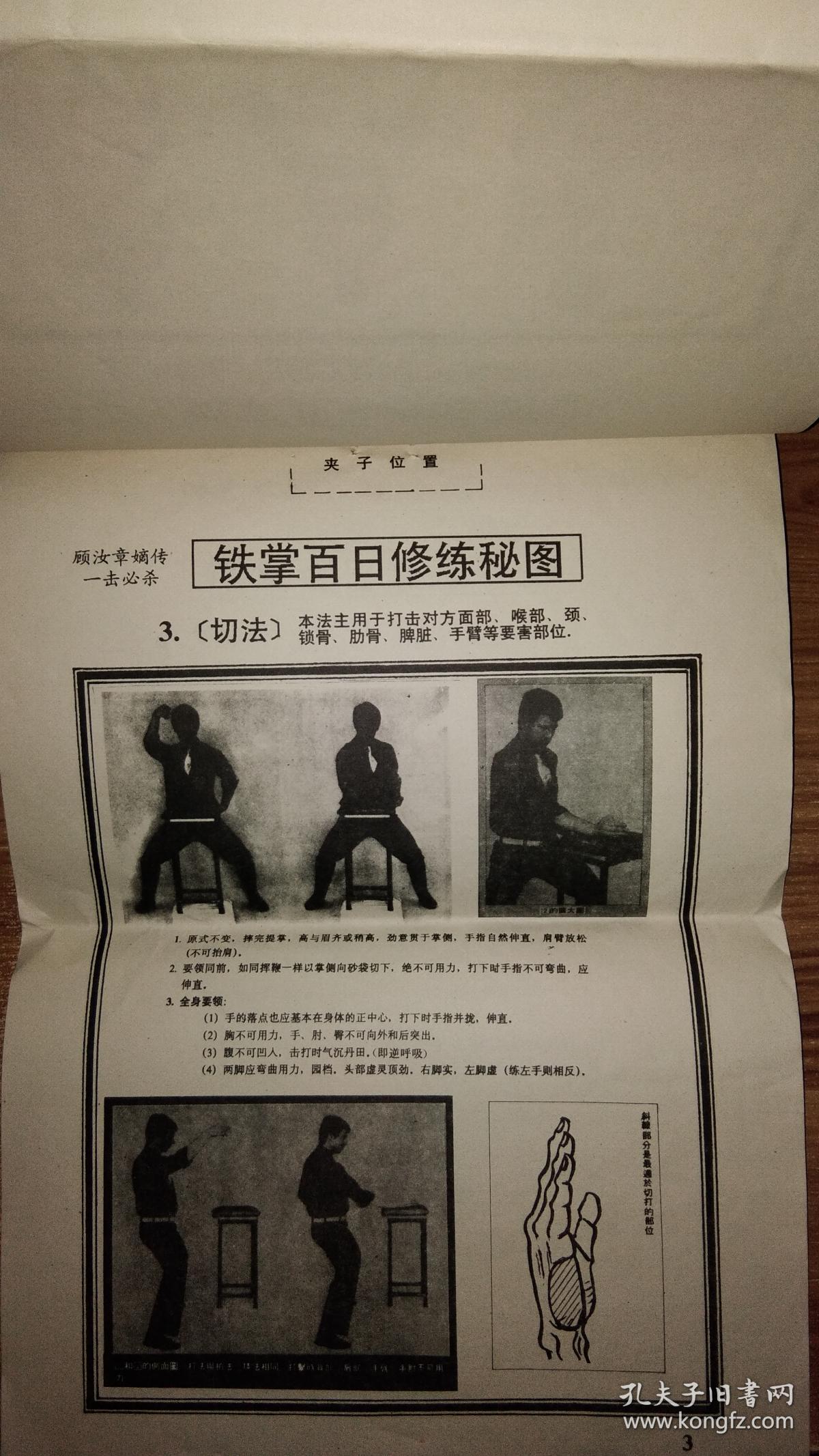 《铁掌百日修炼秘图》含拍法,摔法,切法,印法,点法,马步铁砂打法姿势