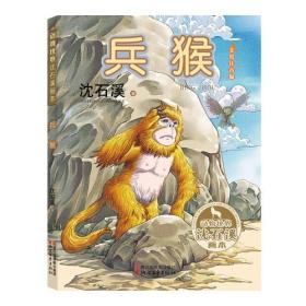 动物世界沈石溪画本：兵猴