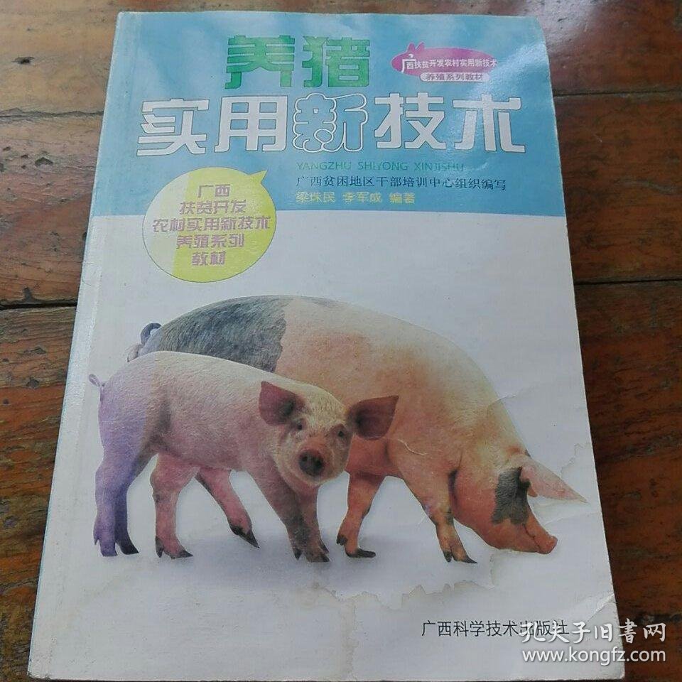 猪苗图片大全：选择优质猪苗的关键