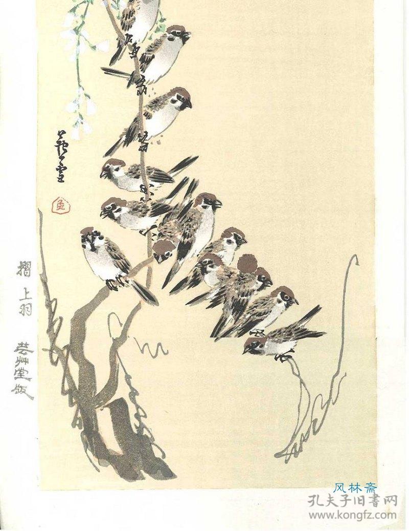 艺草堂旧版木新摺 长泽芦雪 藤花与雀 4开 日本江户花鸟画杰作
