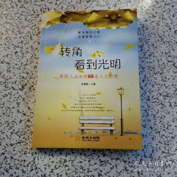 转角看到光明 : 年轻人必知的66条人生哲理