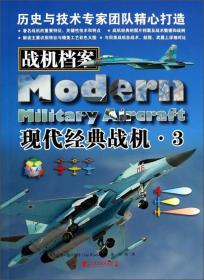 战机档案：现代经典战机3