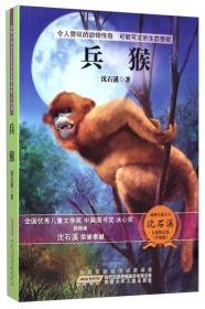 动物小说大王 沈石溪（升级版）：兵猴