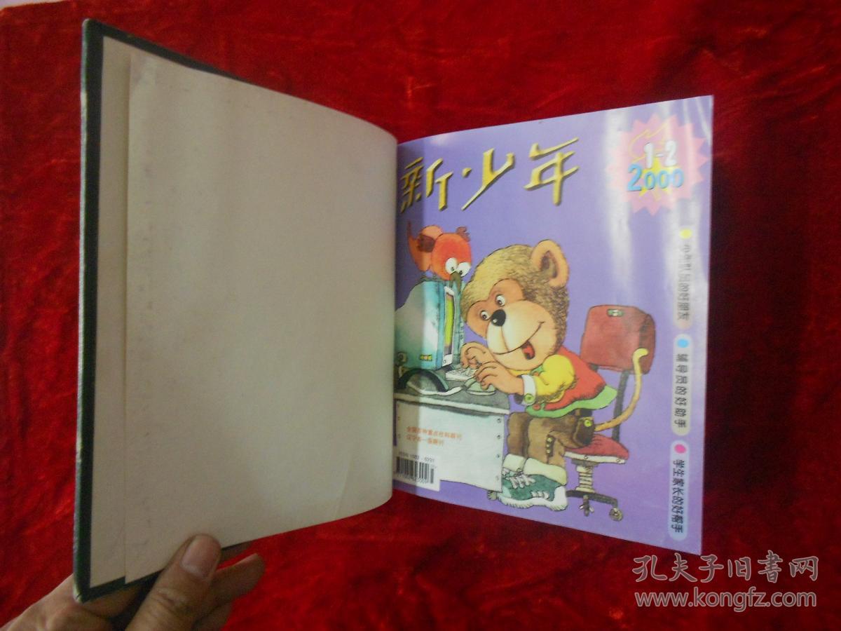 新少年(二000年合订本)_辽宁杂志社_孔夫子旧书网