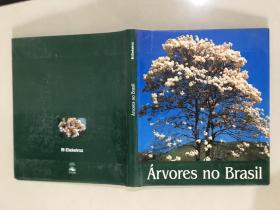 àrvores no Brasil 画册  树在巴西？
