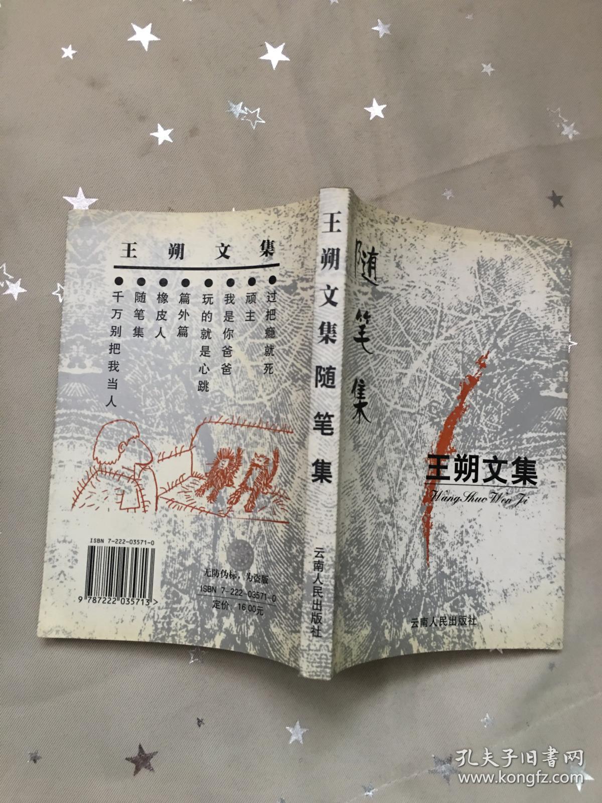 王朔文集:随笔集