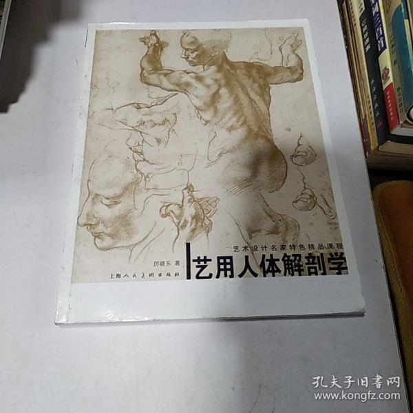 艺 用 人体 解剖学