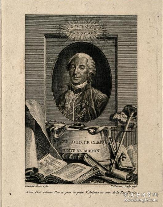 1793年countdebuffonnaturalhistoryofbirds布封鸟类自然史全树纹小