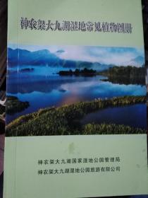 神农架大九湖湿地常见植物图册