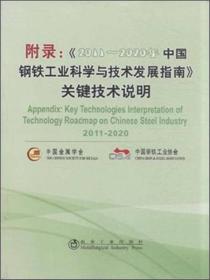 附录：《2011～2020年中国钢铁工业科学与技术发展指南》关键技术说明