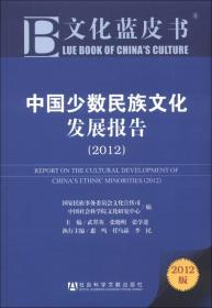 中国少数民族文化发展报告2012（蓝皮书）