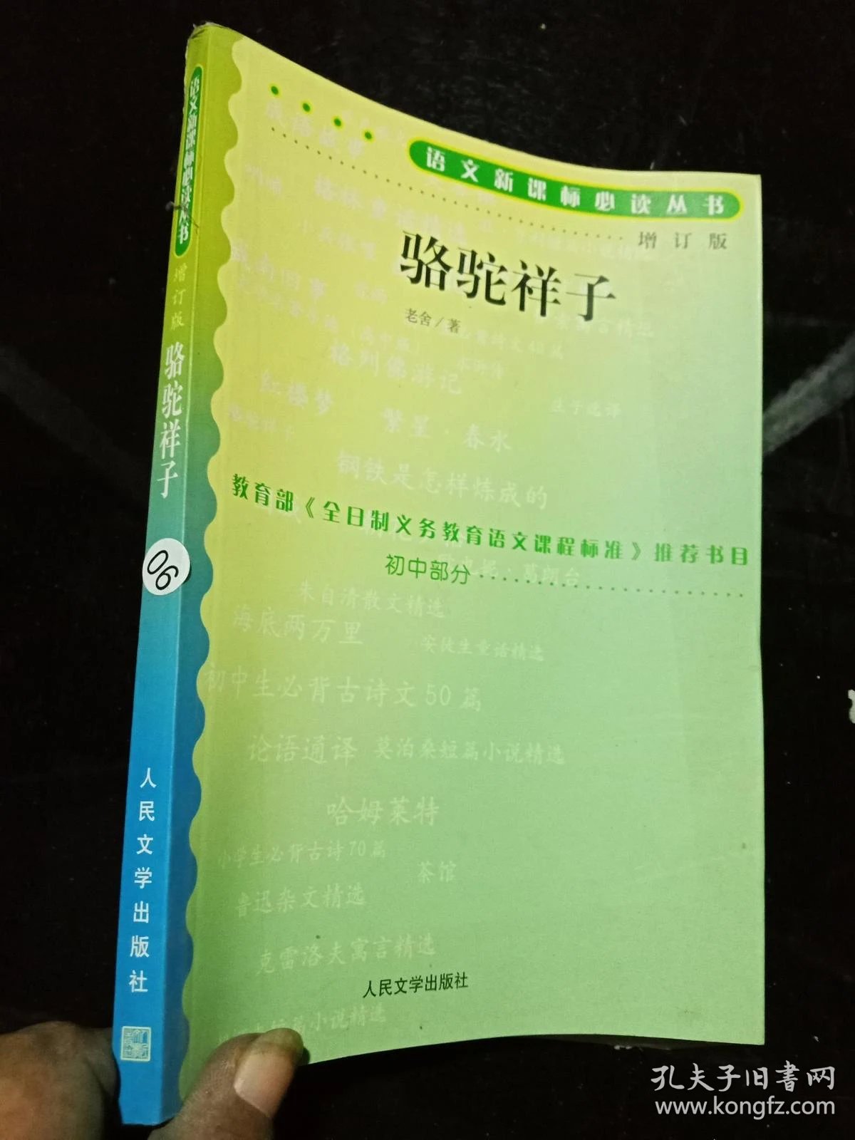 骆驼祥子 (语文新课标).
