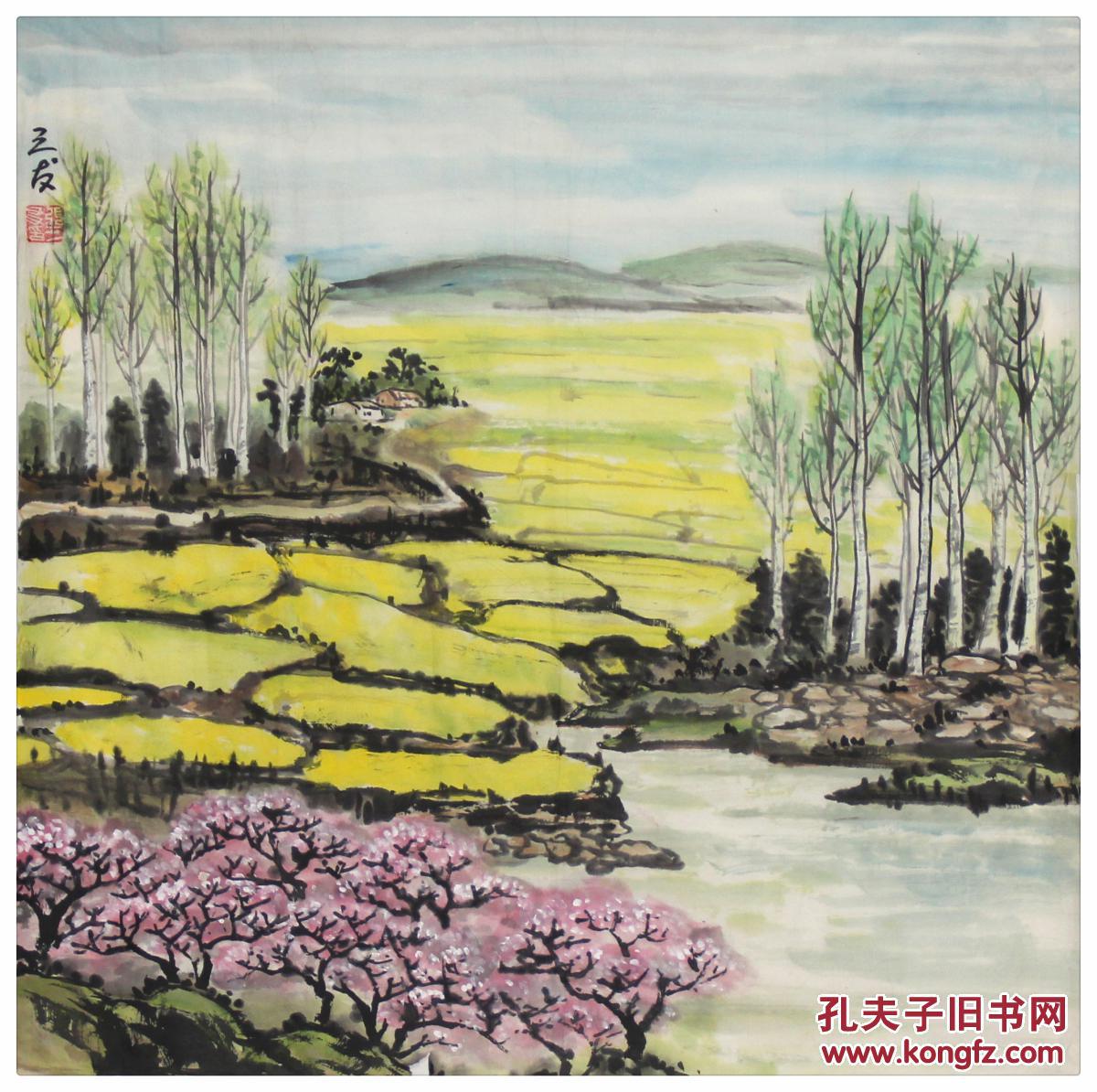 张三友油菜花69685cm软片