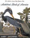 Audubon's Birds of America