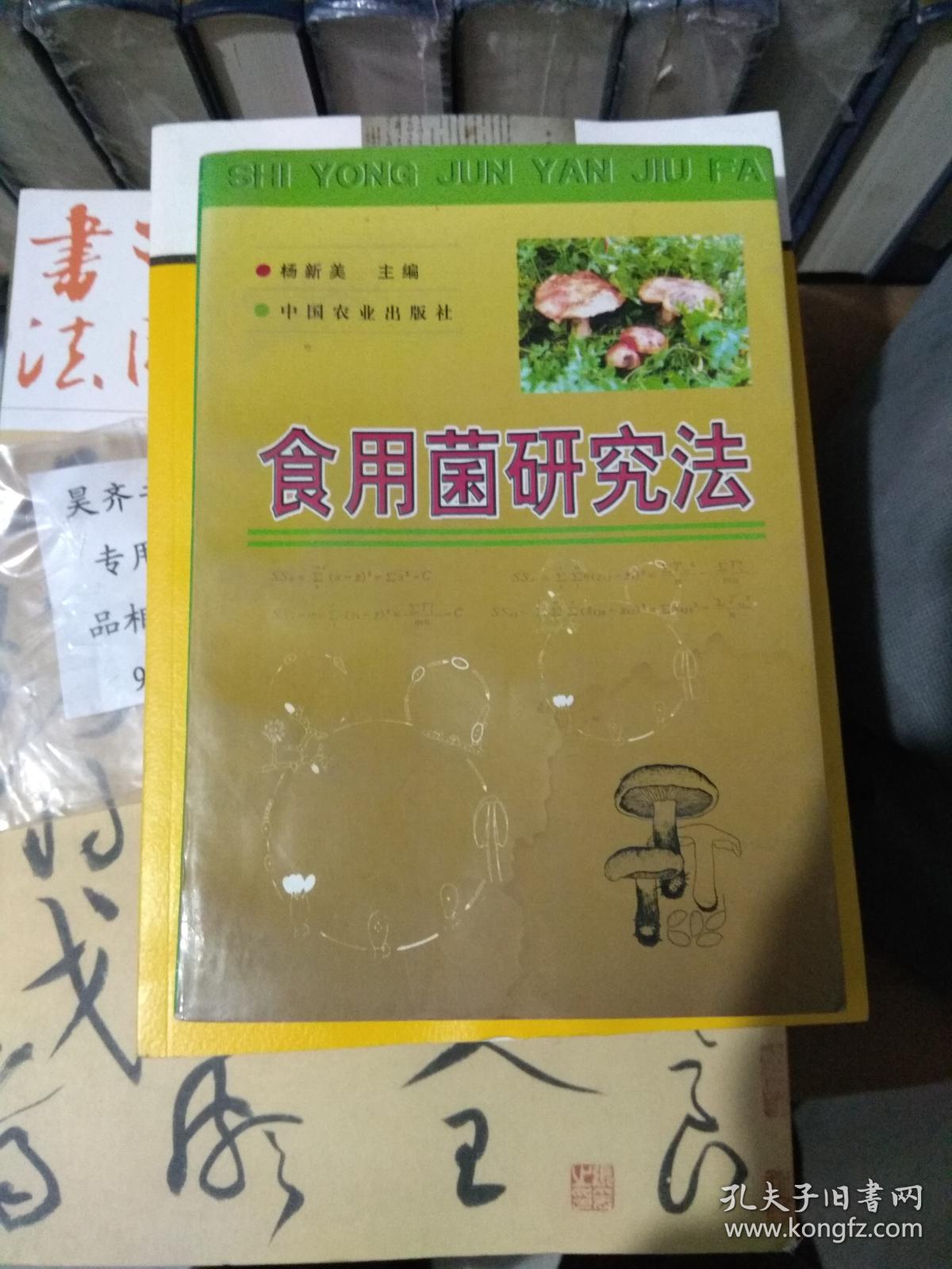 食用菌研究法——货架a1