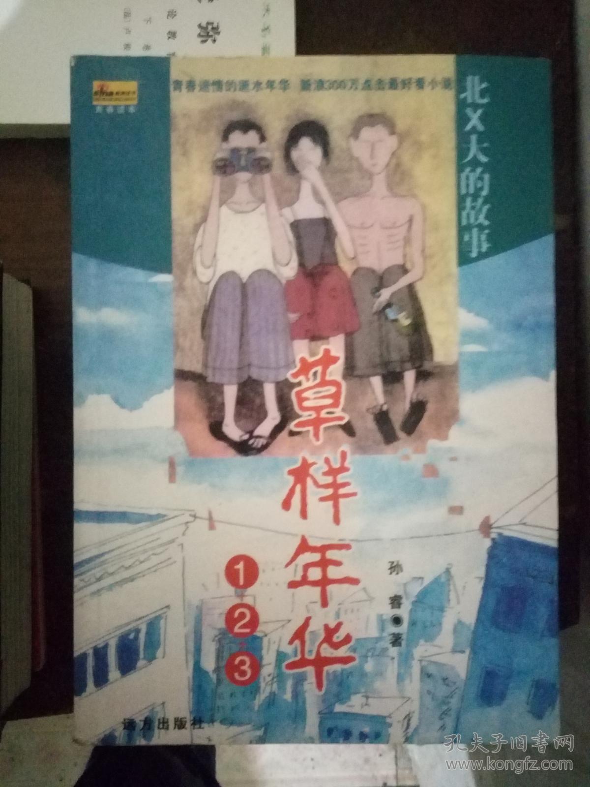 草样年华1:北×大的故事