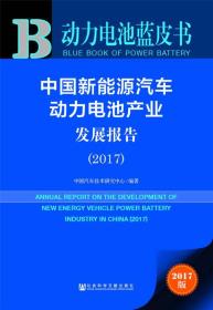 动力电池蓝皮书：中国新能源汽车动力电池产业发展报告
