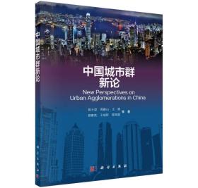 中国城市群新论