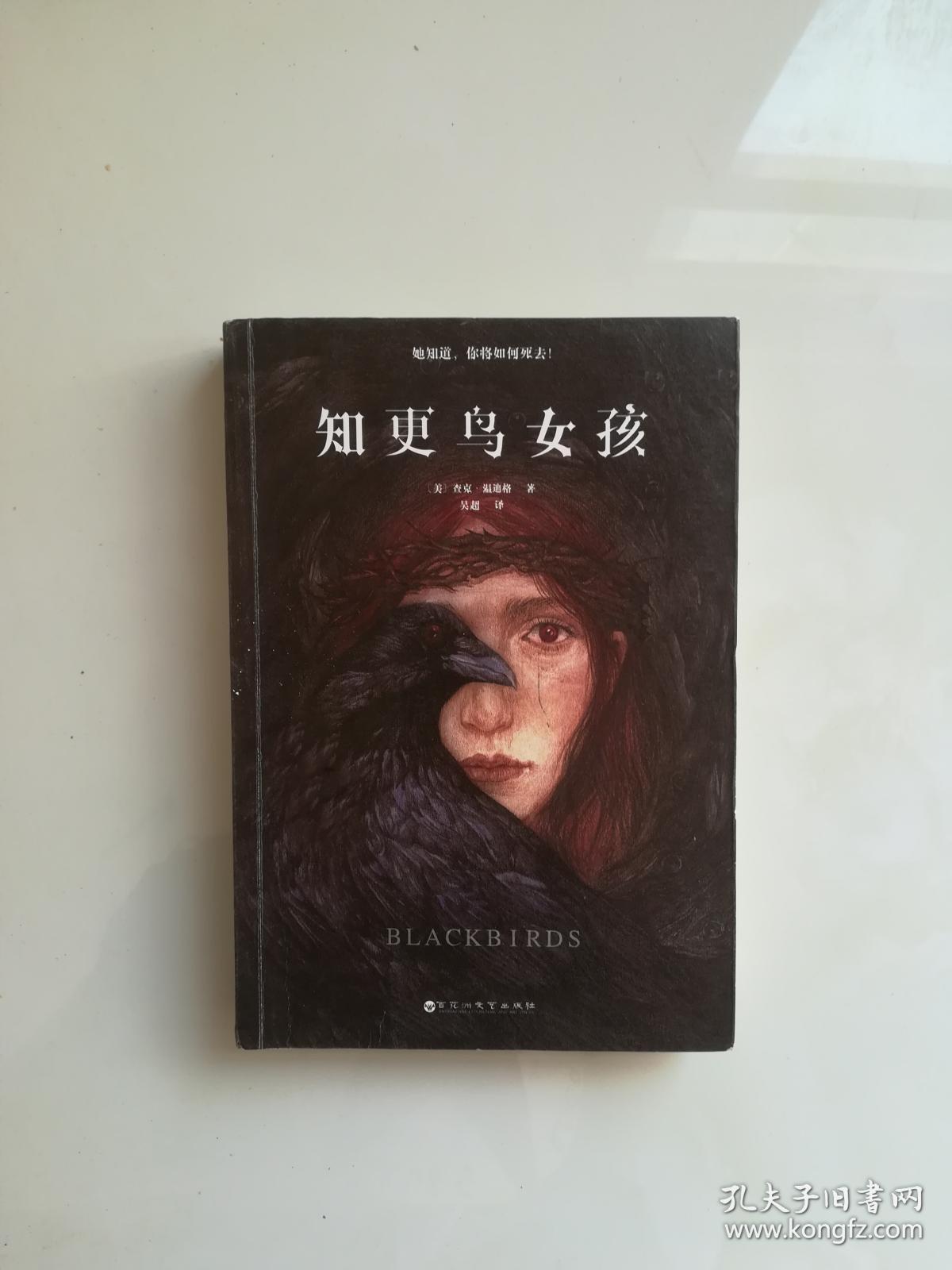 知更鸟女孩
