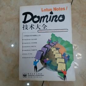 Lotus Notes/Domino技术大全
