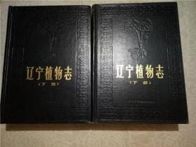 辽宁植物志 （上下全2册）精装本