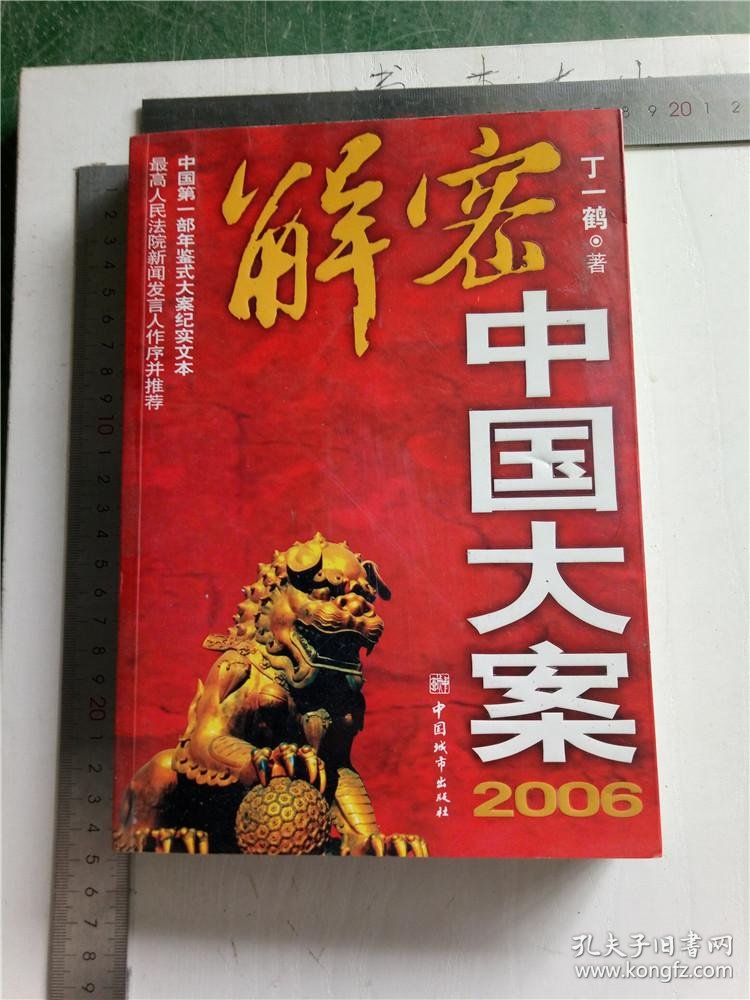 解密中国大案2006
