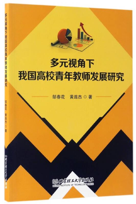 正版现货 多元视角下我国高校青年教师发展研究