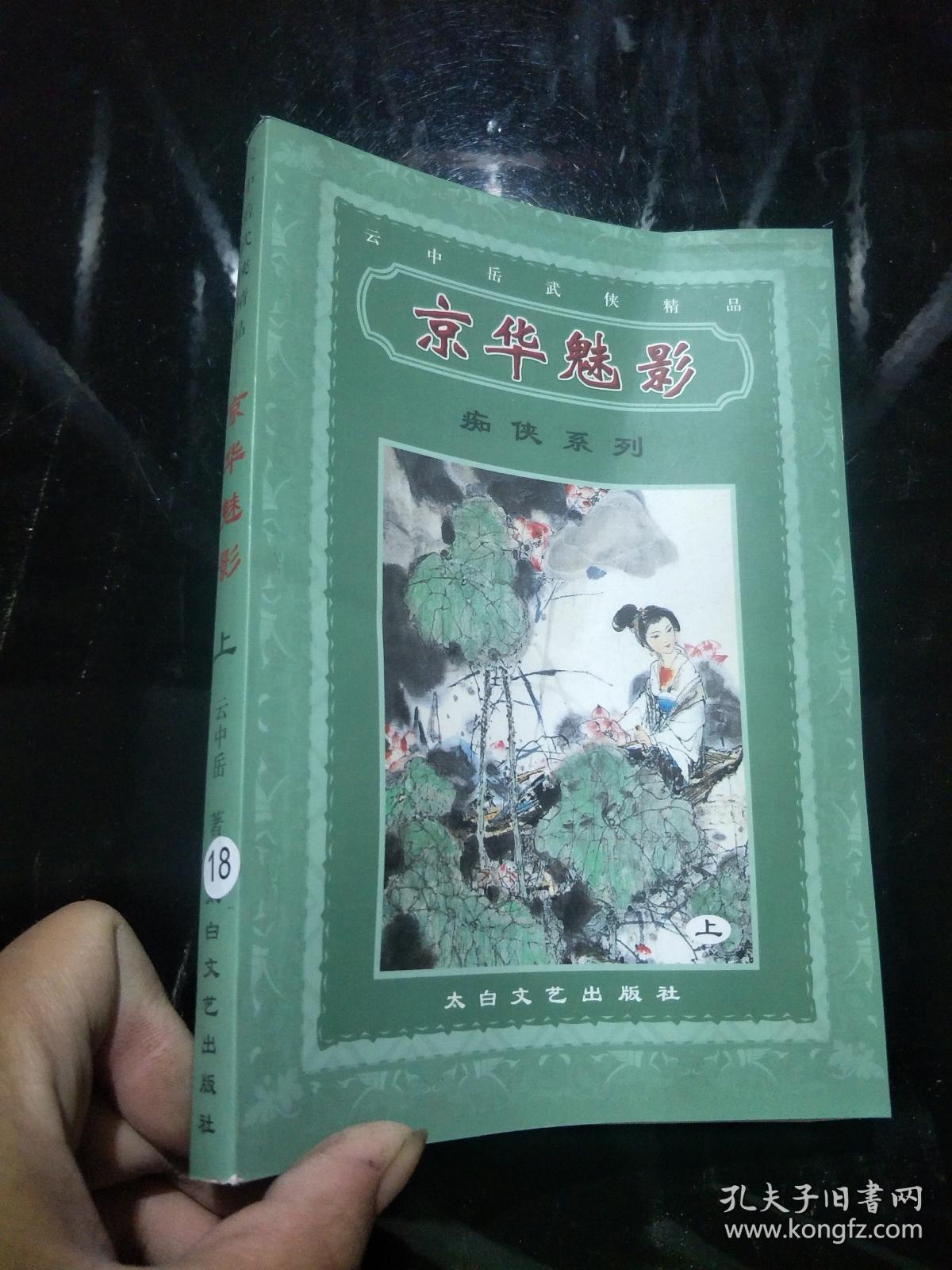 痴侠系列(京华魅影上)_云中岳著_孔夫子旧书网