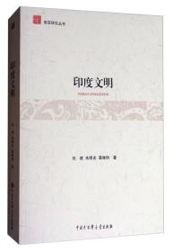 南亚研究丛书：印度文明