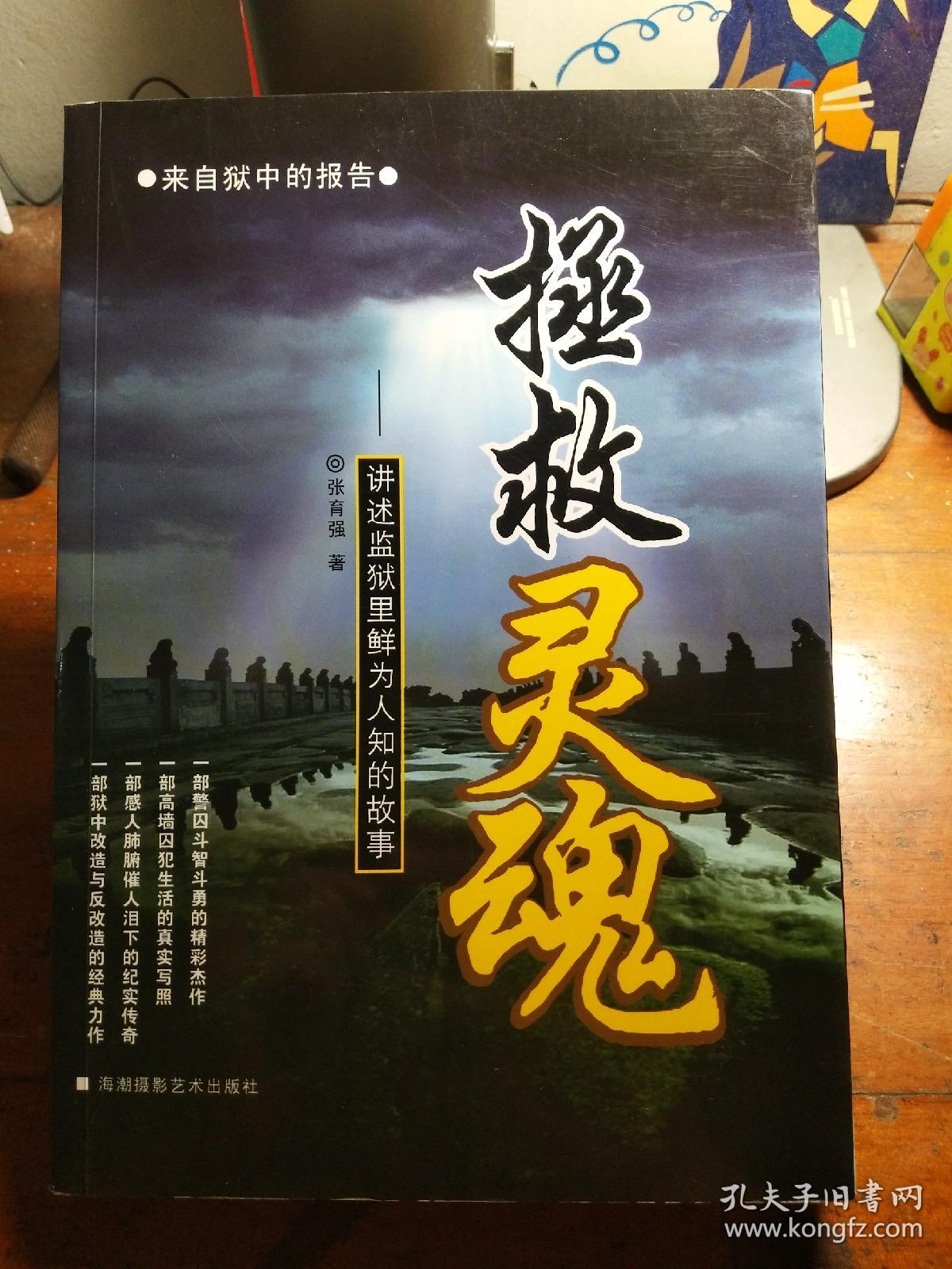 拯救灵魂――讲述监狱里的鲜为人知的故事