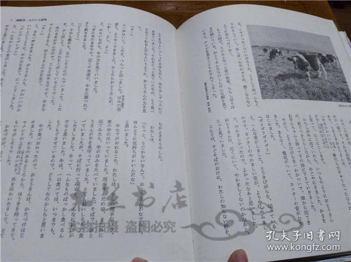 原版日本日文书 日本风土记43熊本 日本作文の会/熊本県编集委员会 岩