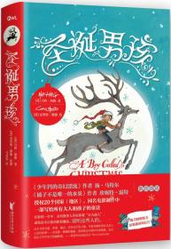 圣诞男孩：一本适合所有大人和孩子一起读的童话
