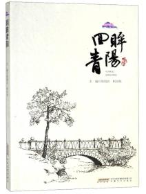 中国当代文艺综合作品集：回眸青阳