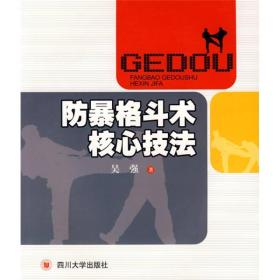 防暴格斗术核心技法
