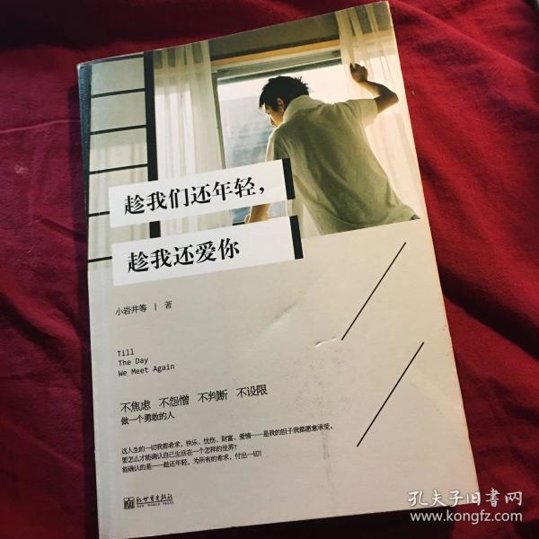 条结果 一版一印 正版扉页有字 某一页有折痕 封面微污渍 作者:小岩井