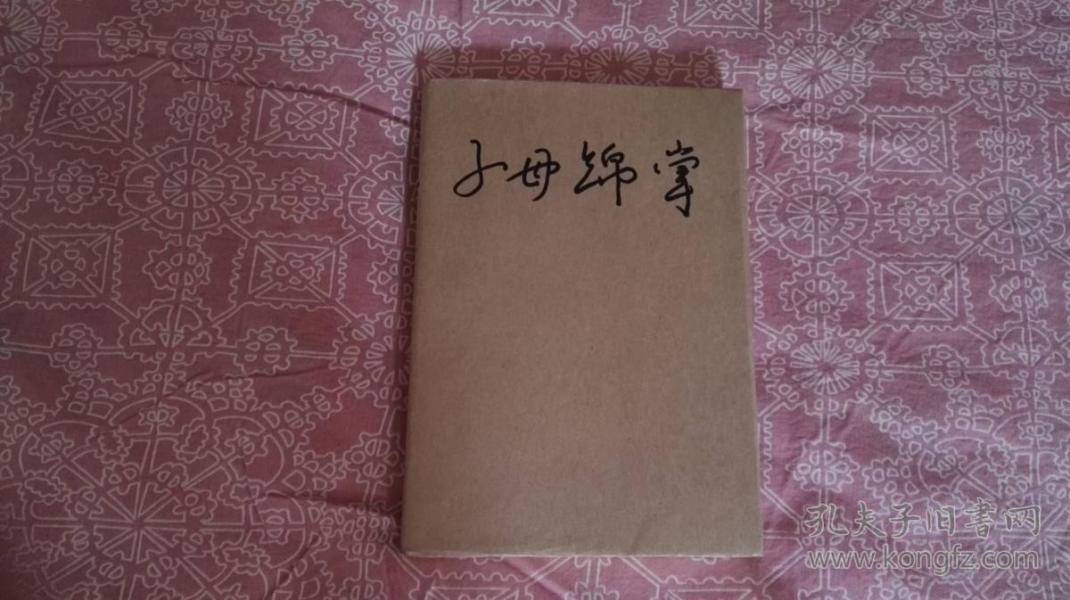 子母绵掌全书(带光盘)