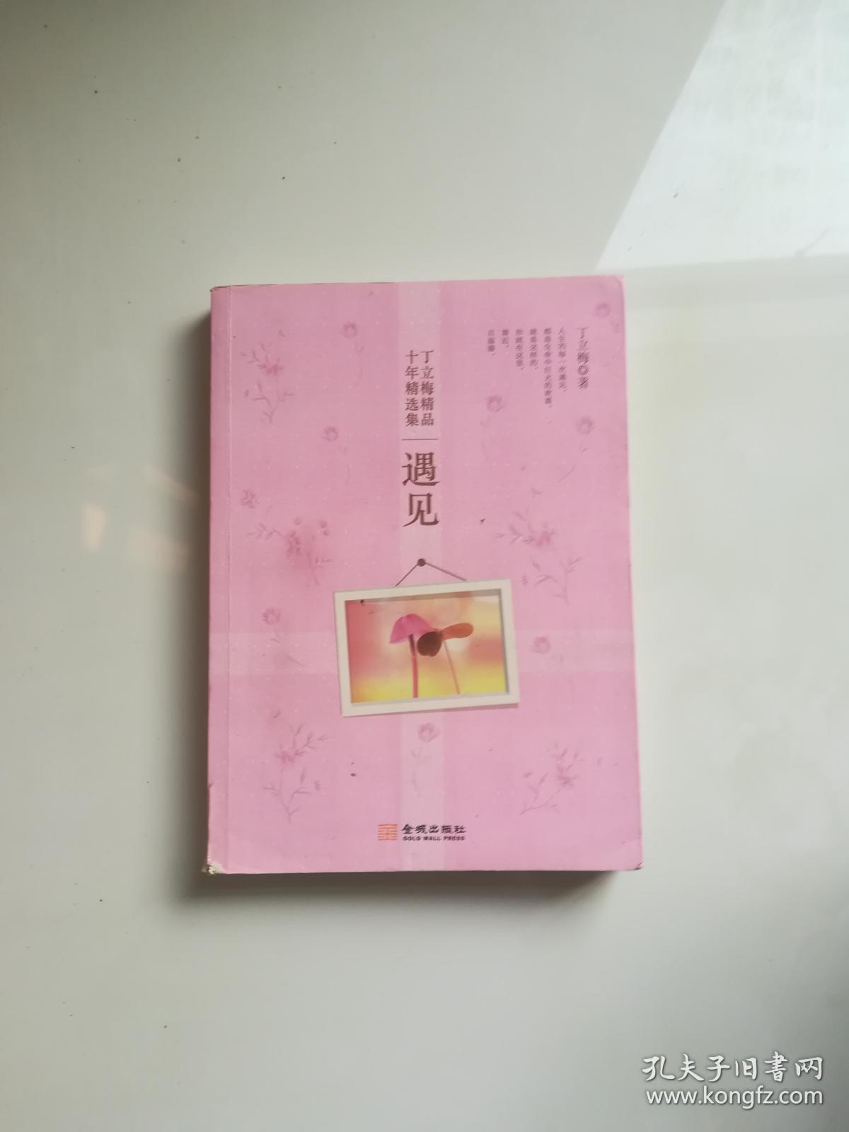 丁立梅作品十年精选集:遇见