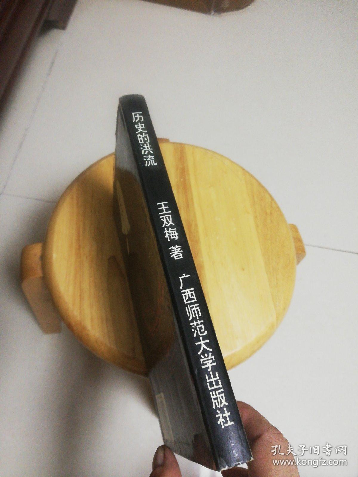 历史的洪流(抗日战争史丛书)