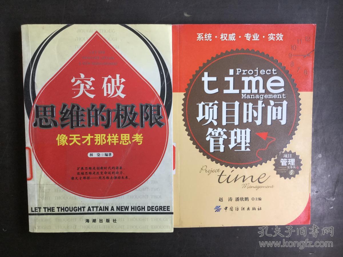 突破思维的极限:像天才那样思考