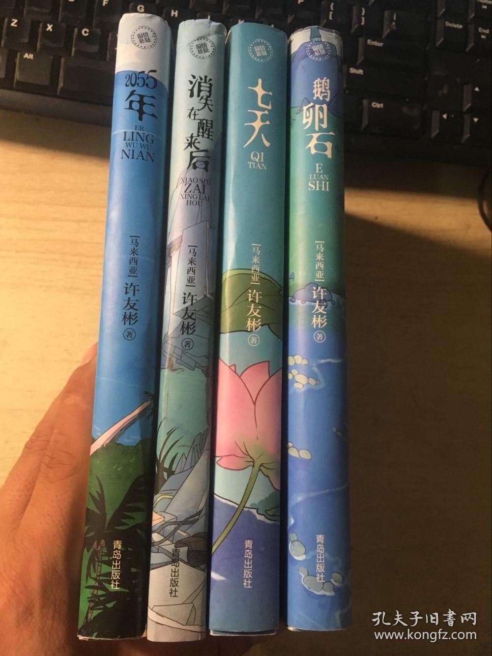 许友彬作品:鹅卵石,七天,消失在醒来后,2055年(四册合售)