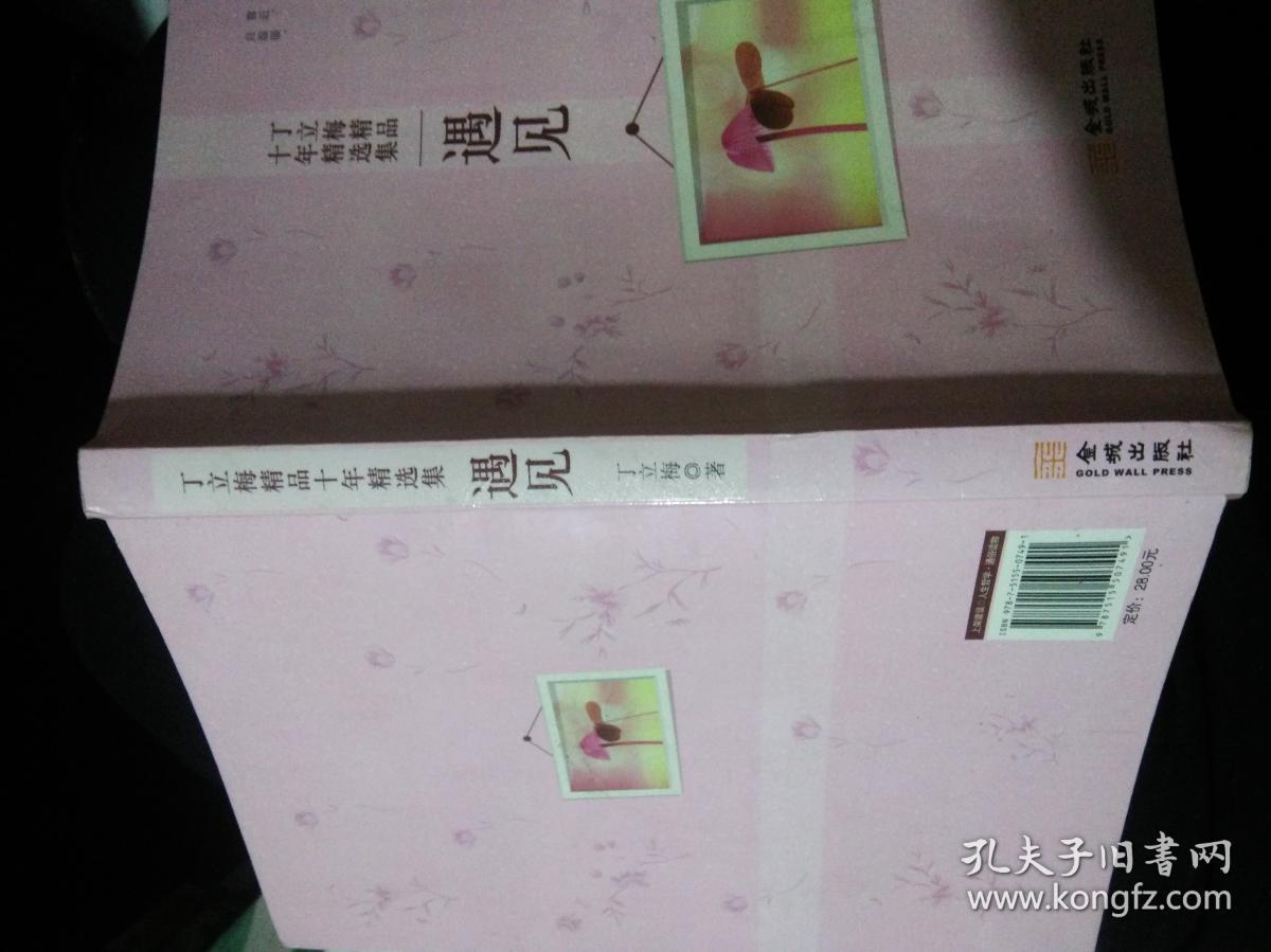 丁立梅作品十年精选集:遇见