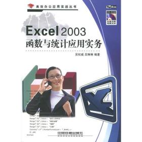 Excel 2003函数与统计应用实务——高效办公应用实战丛书